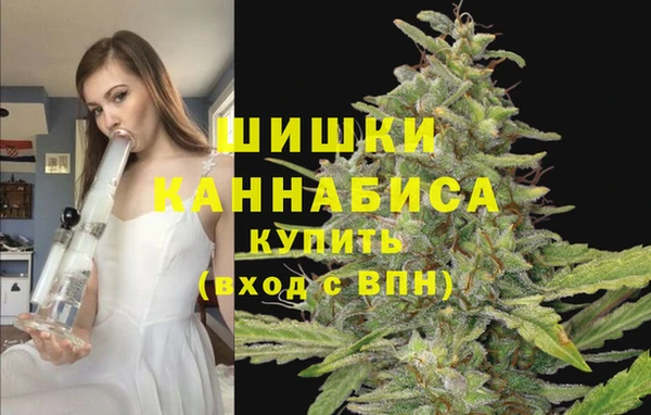 мдпв Чердынь