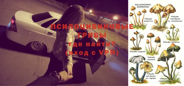 мдпв Чердынь